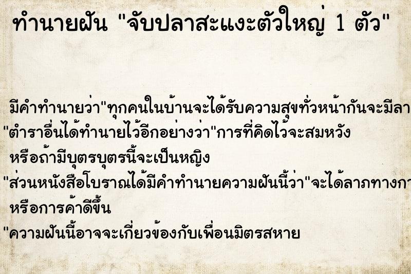 ทำนายฝัน จับปลาสะแงะตัวใหญ่ 1 ตัว